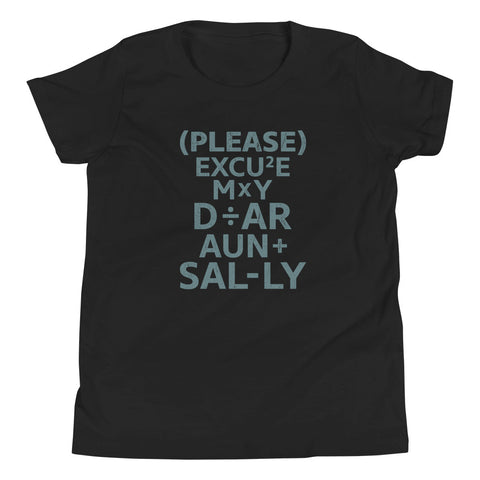 Math Shirt, Please Excuse My Dear Aunt Sally